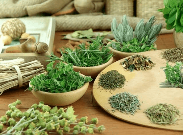 Herbs for impotence treatment